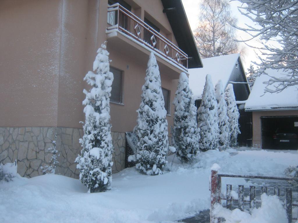 House Pribic Hotel Vrelo Koreničko Exterior foto